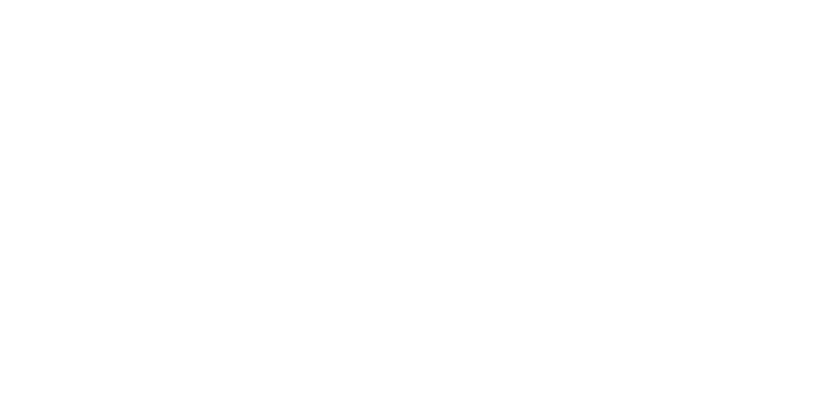Max&Co. logo